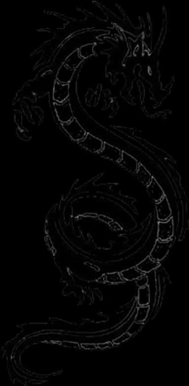 A Black And White Image Of A Dragon