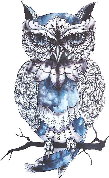 A Drawing Of An Owl