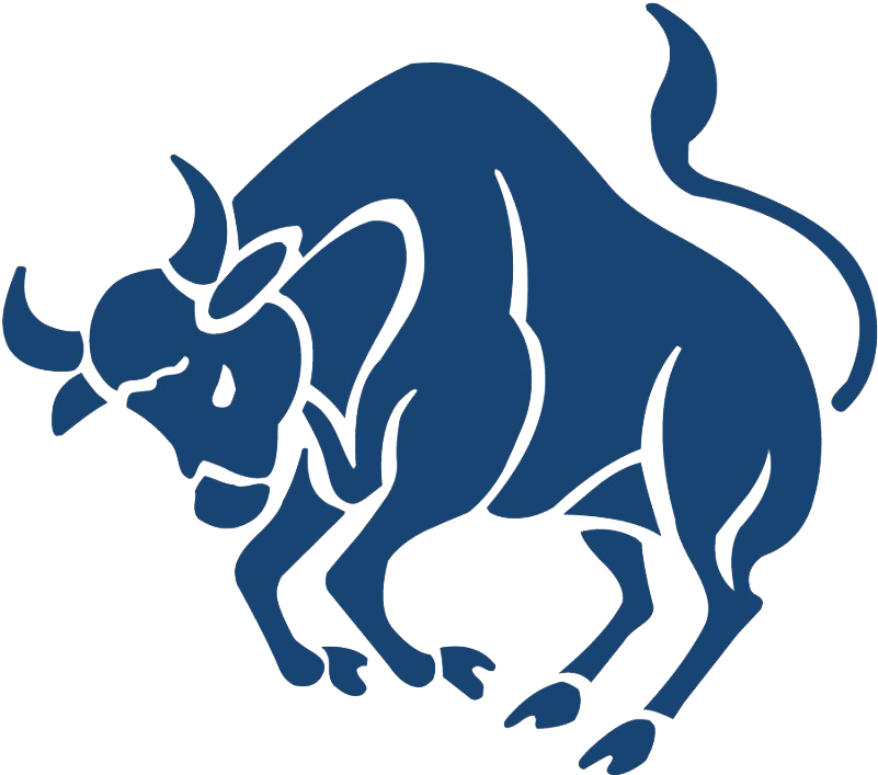 A Blue Bull With Horns