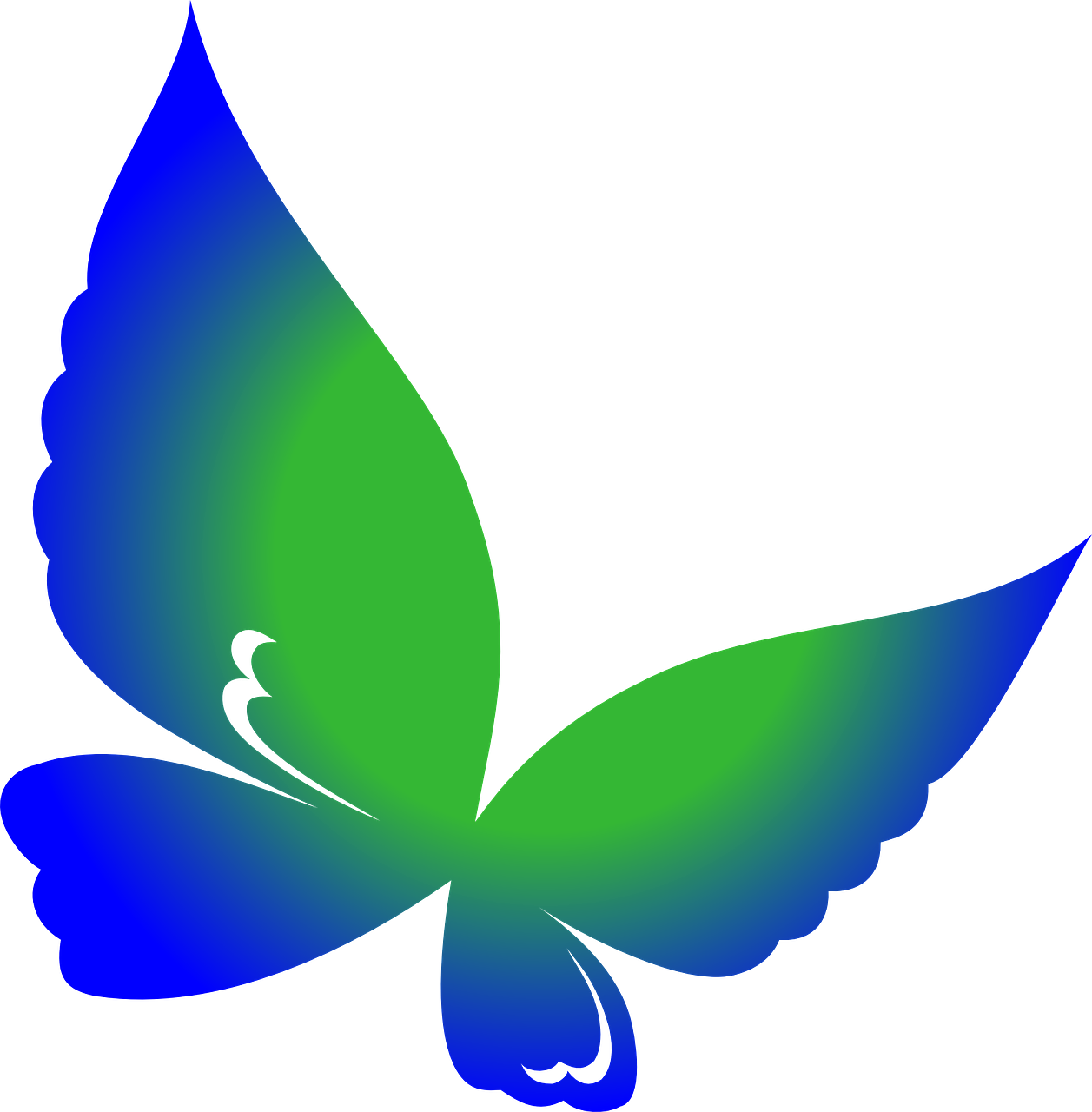 Teal Butterfly Clipart, Hd Png Download