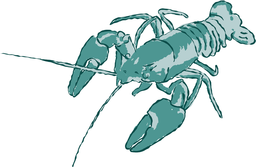 A Lobster With Claws And Claws