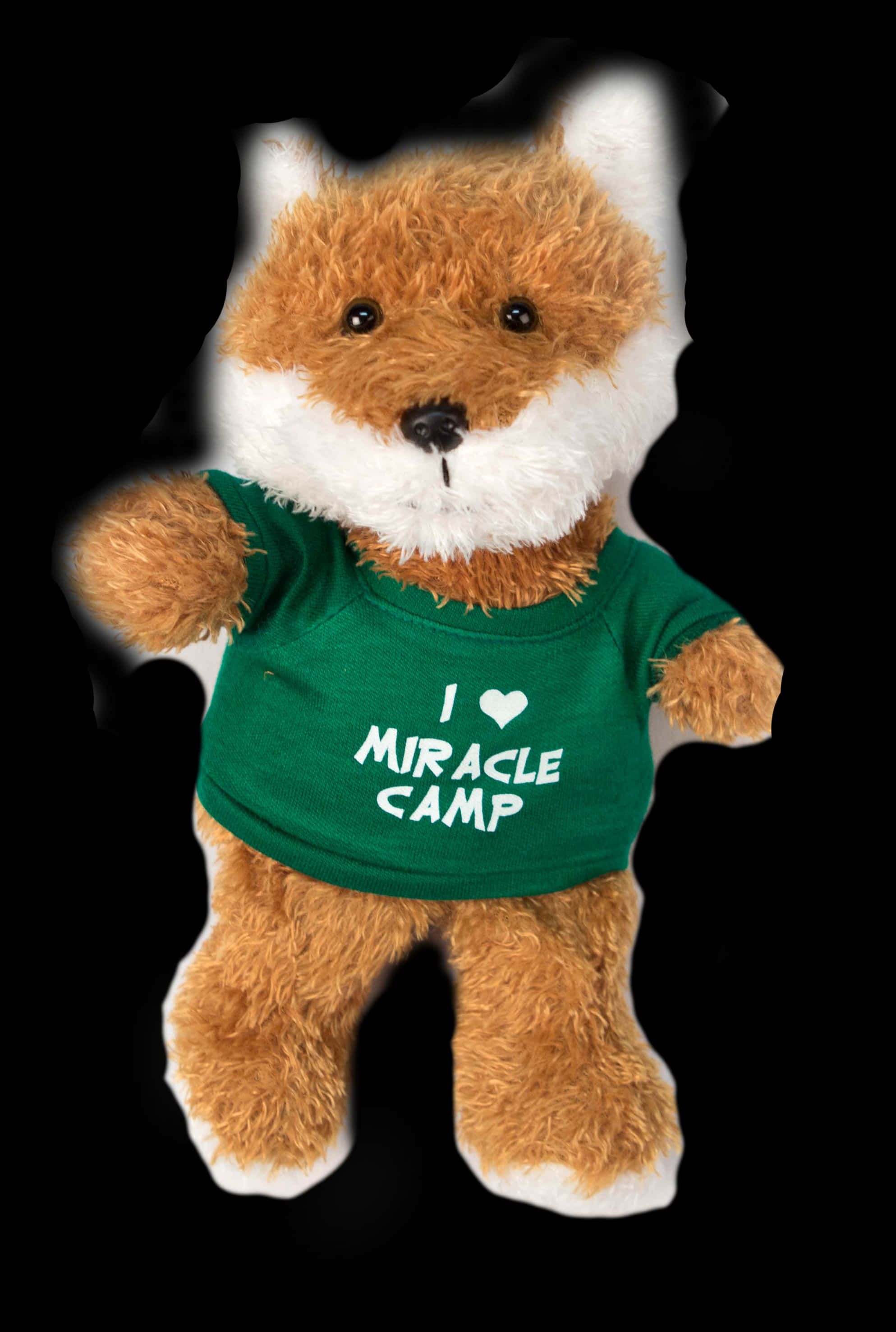A Stuffed Animal Wearing A Green Shirt