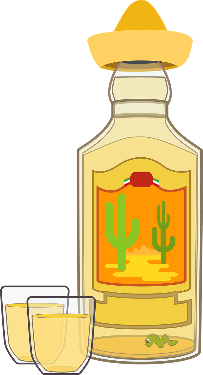 A Bottle Of Tequila With Cactus On It