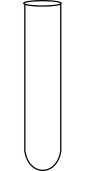 A Black And White Stripe
