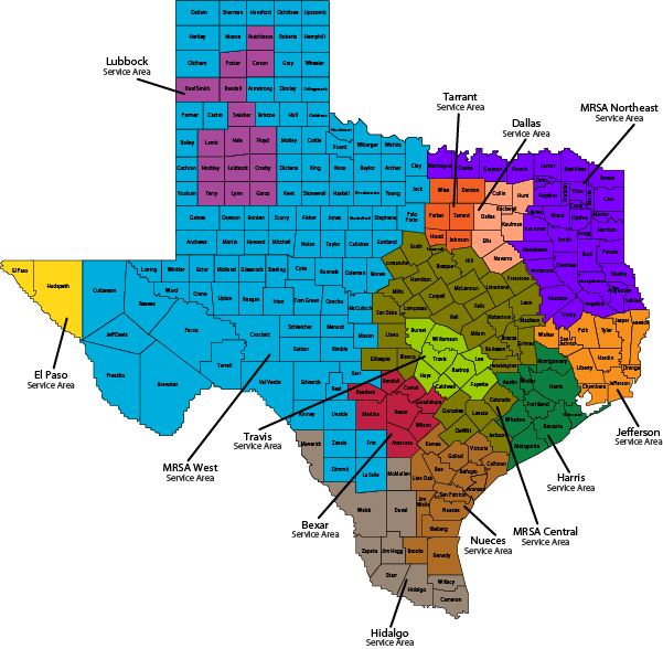 A Map Of Texas With Different Colored Squares