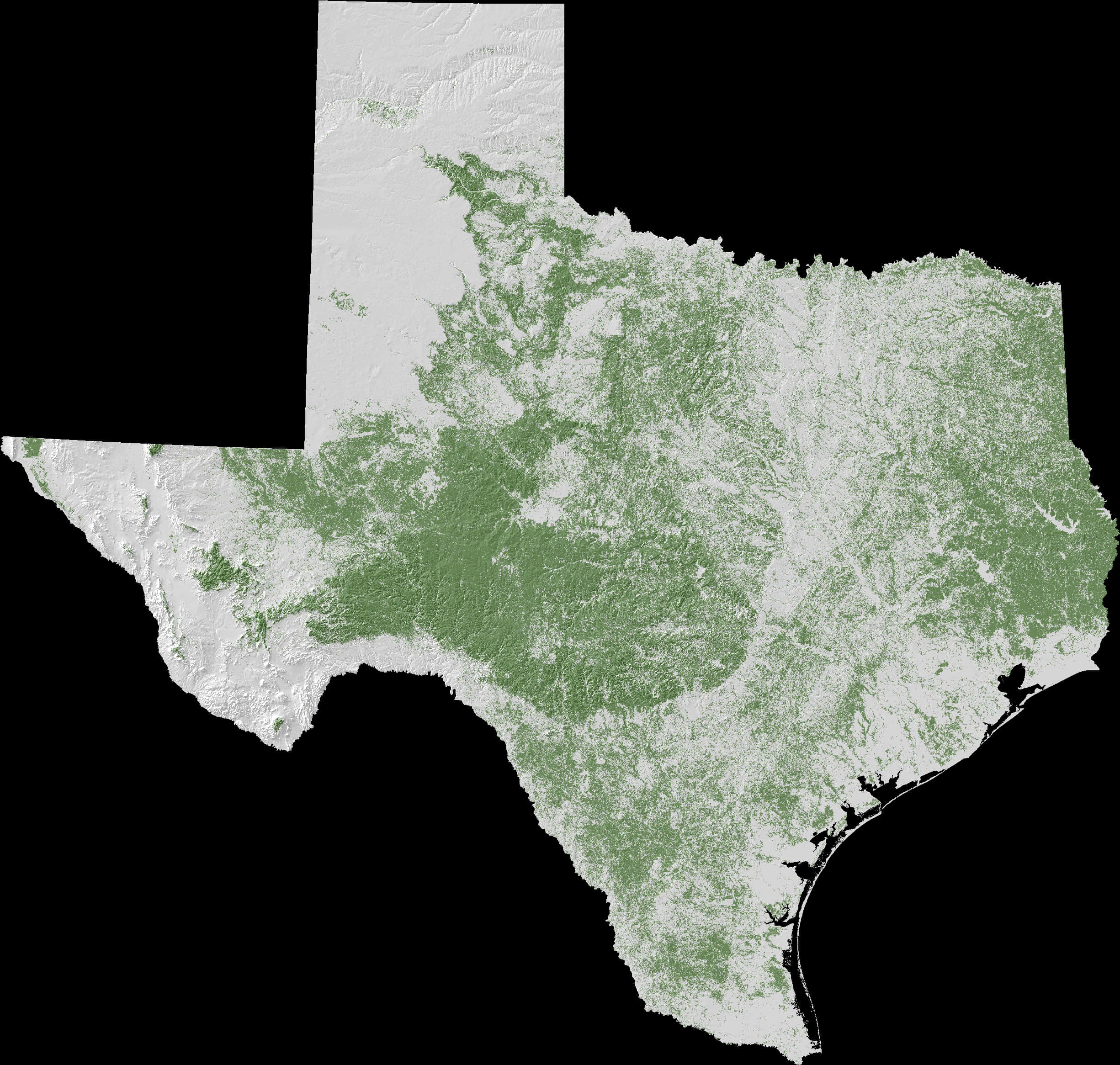 A Map Of Texas With Green And White Colors