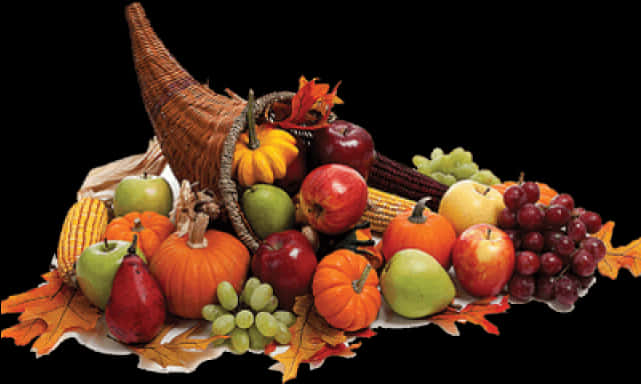 Thanksgiving Harvest