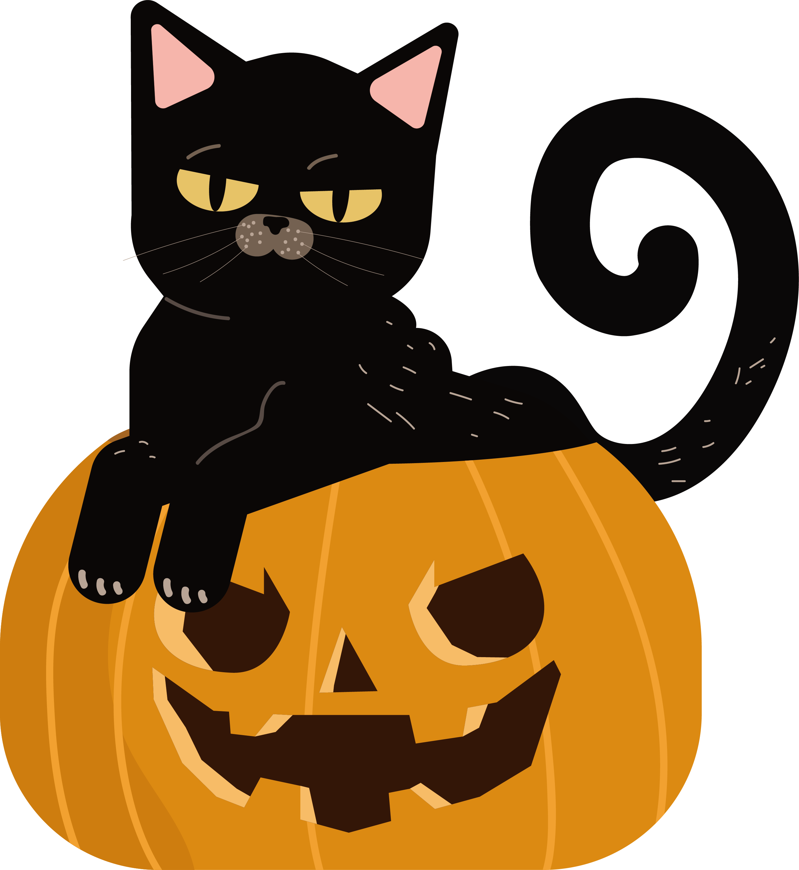 A Black Cat Sitting On A Pumpkin