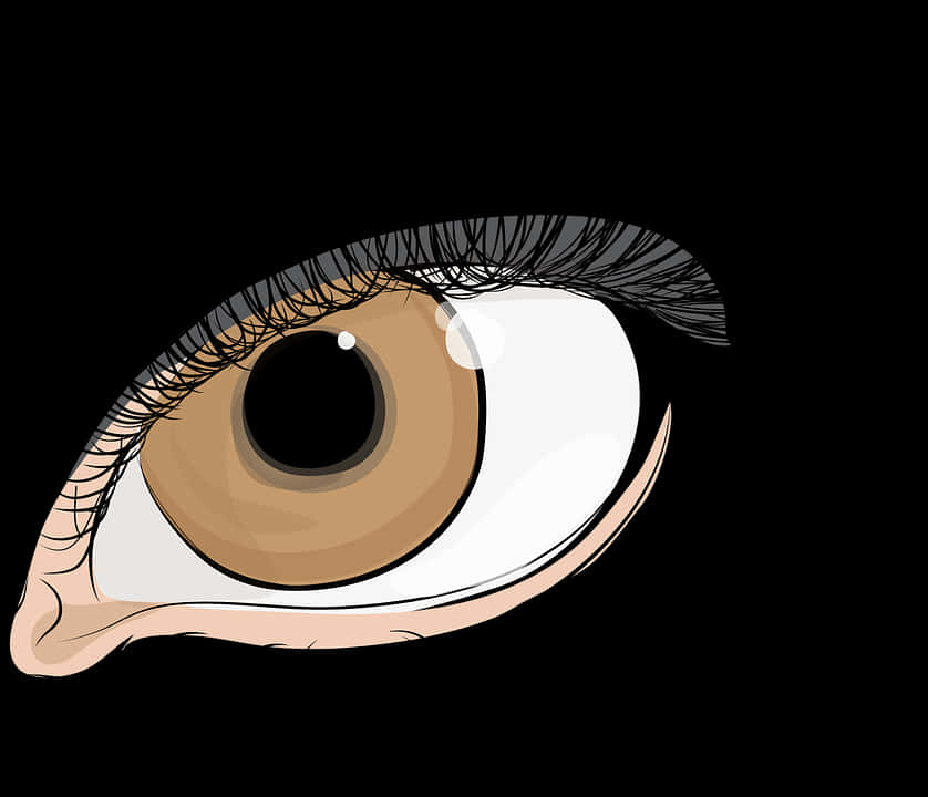 A Brown Eye With Eyelashes