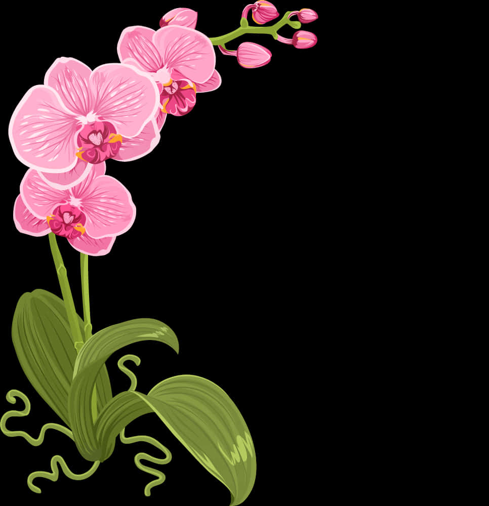 The Floral Designer - Flower Floral Design, Hd Png Download