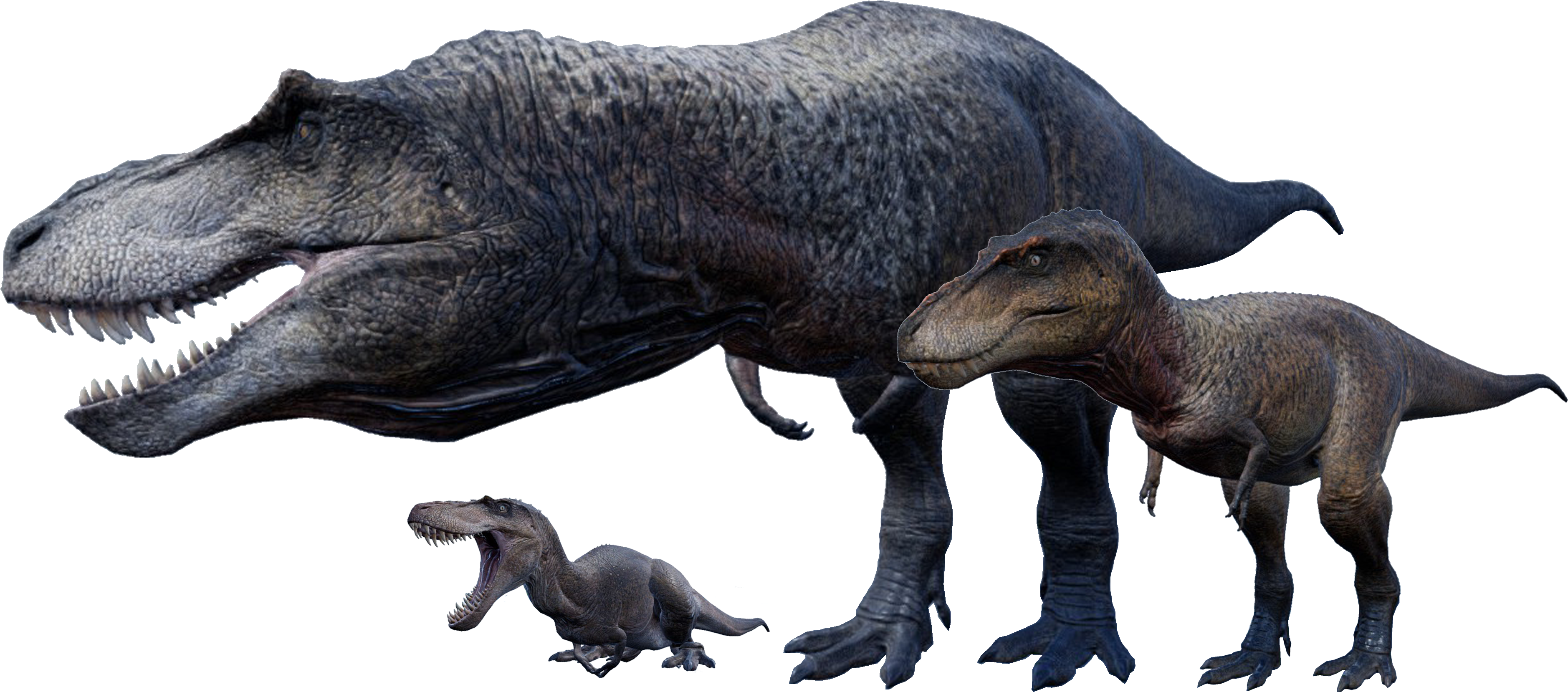 A Dinosaur And A Baby Dinosaur