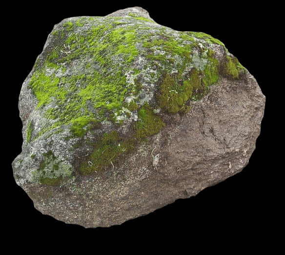 A Rock With Moss On It