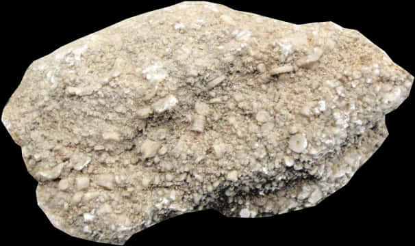 A Close-up Of A Rock
