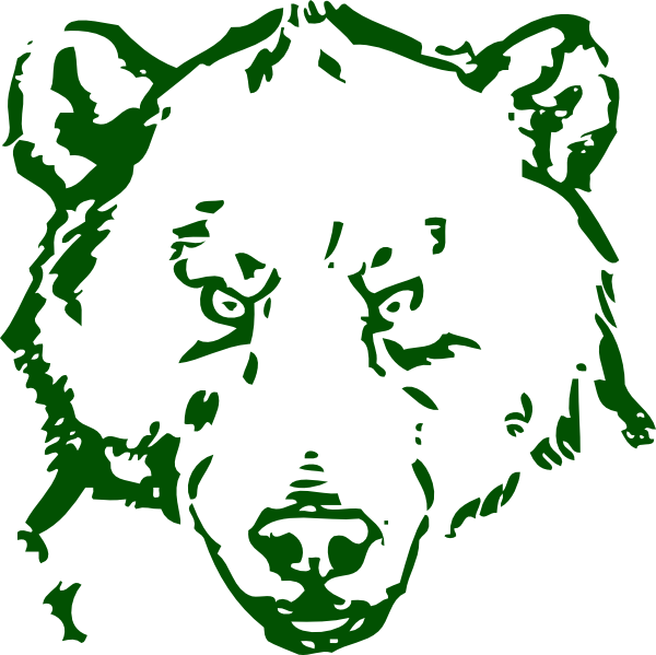 A Black And Green Bear Face