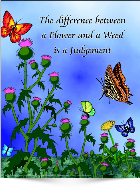 A Poster With Butterflies Flying Over A Flower