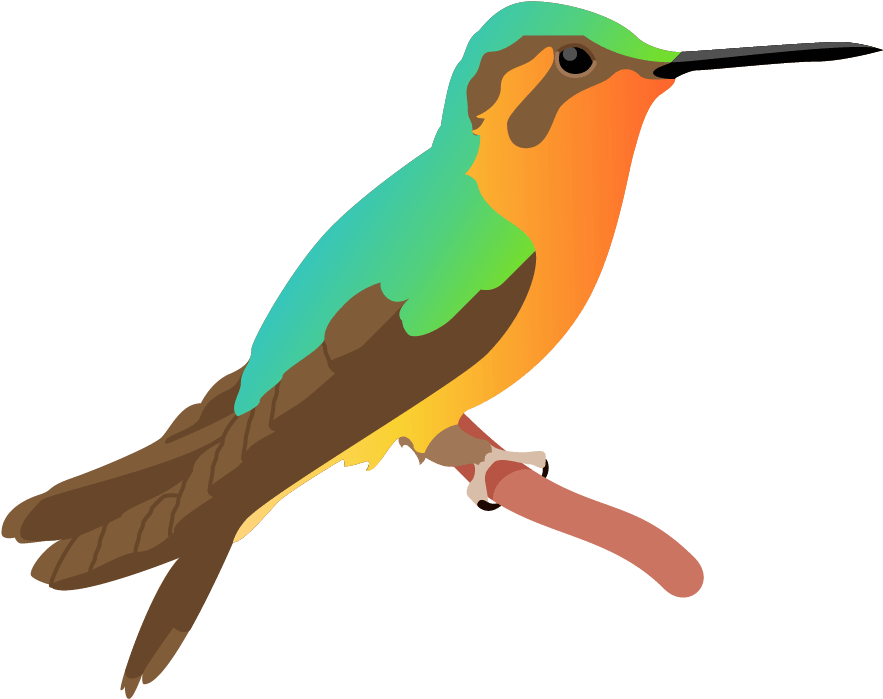 A Colorful Bird On A Branch