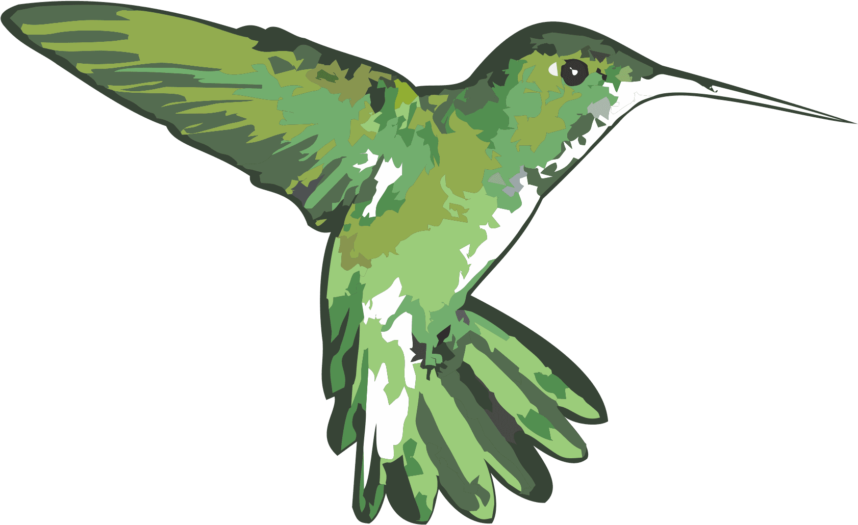 A Green And White Hummingbird