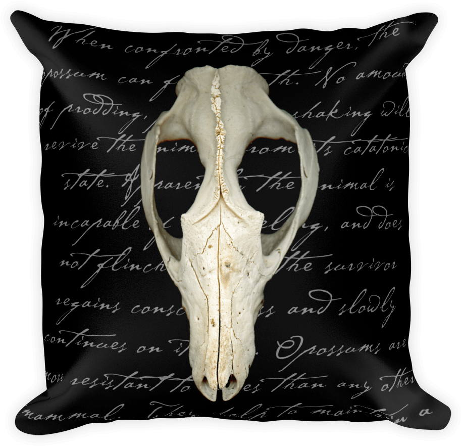Throw Pillow, Hd Png Download