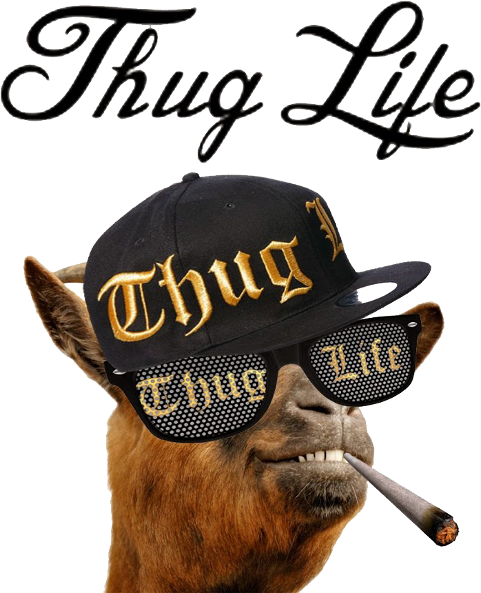 Thug Life Png 698 X 860