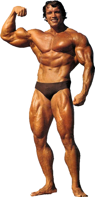 A Muscular Man In Underwear