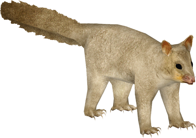 A White Furry Animal With Long Tail