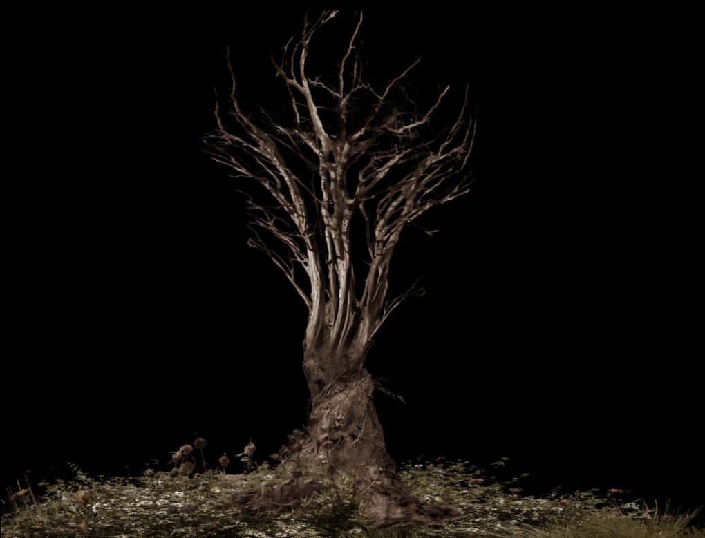 Thumb Image - Tree Roots Png, Transparent Png