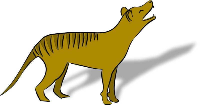 A Yellow Dog With Its Mouth Open