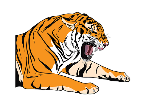 Tiger Png 480 X 340