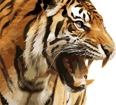 Tiger Png 377 X 340