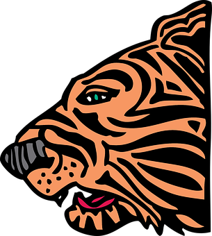 A Tiger With A Black Background