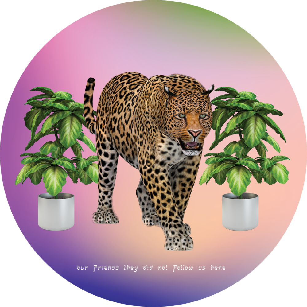 Tiger, Hd Png Download