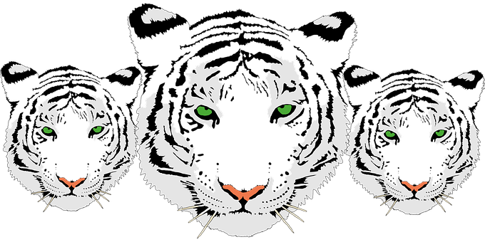 A Black And White Tiger With Green Eyes