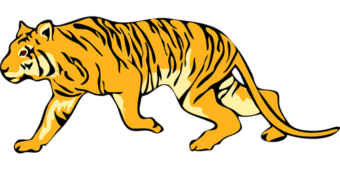 A Yellow Tiger With Black Background