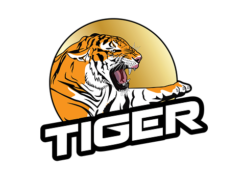 Tiger Png 480 X 340