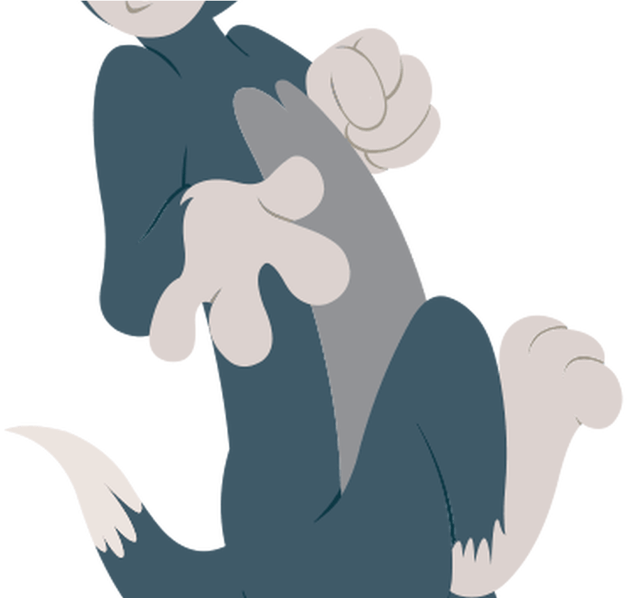 Tom From Tom And Jerry , Png Download - Tom And Jerry Show Png, Transparent Png