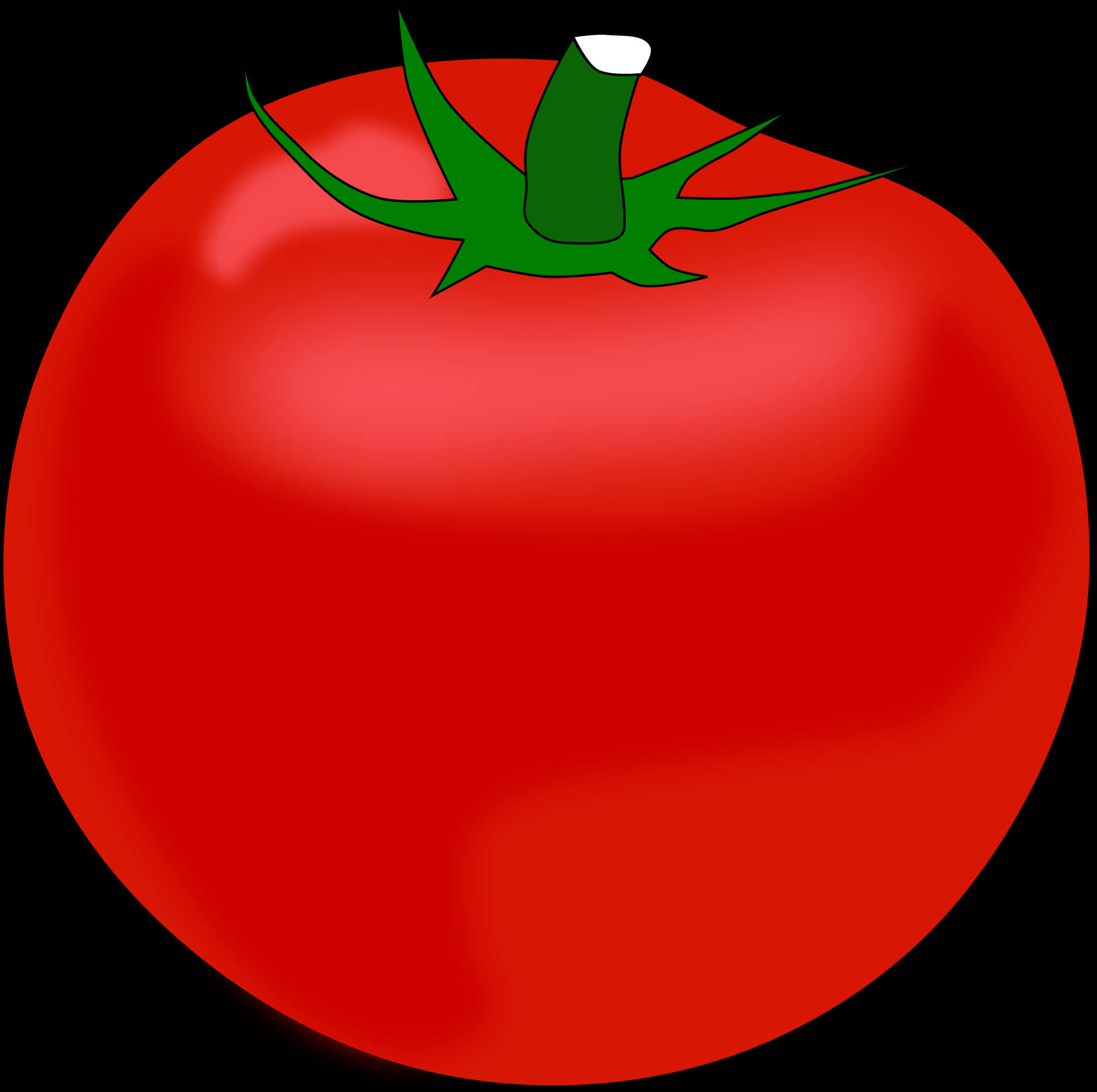 A Red Tomato With Green Stem