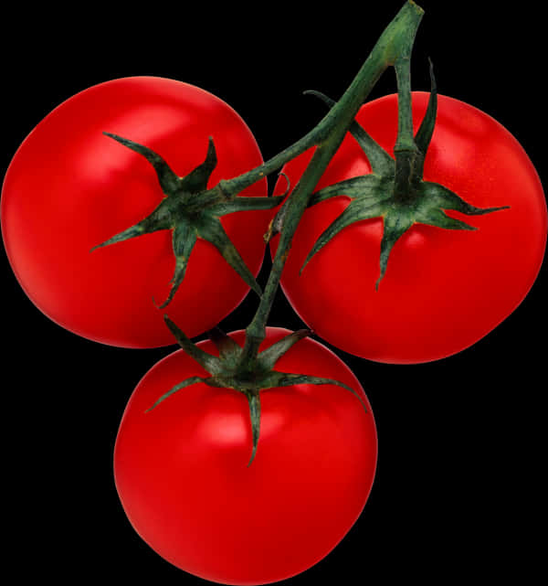 Tomato Png Free Download - Tomato Pdf, Transparent Png