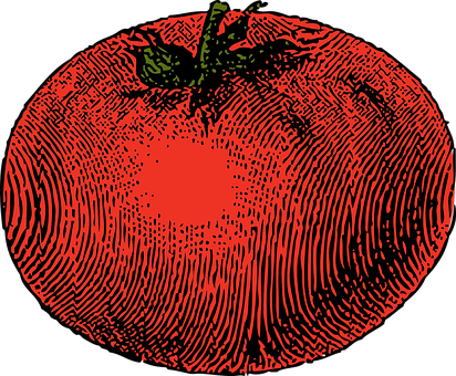A Tomato With A Fingerprint