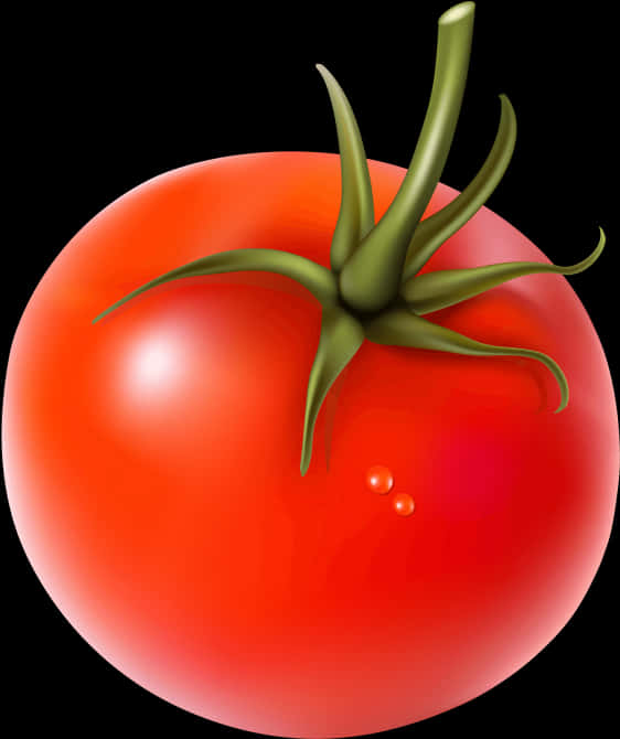 A Close Up Of A Tomato