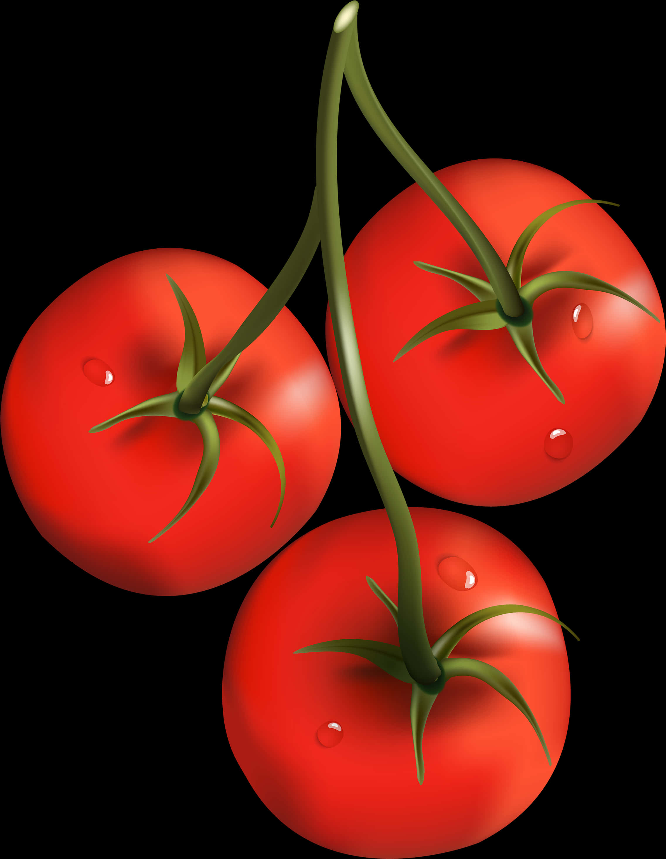 A Group Of Tomatoes On A Vine