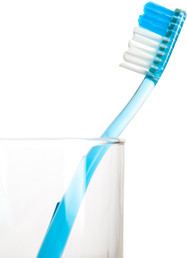 Toothbrush Png 600 X 828