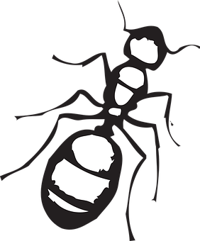 A Black And White Image Of A Ant