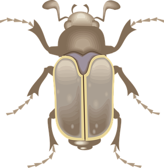 A Close-up Of A Bug
