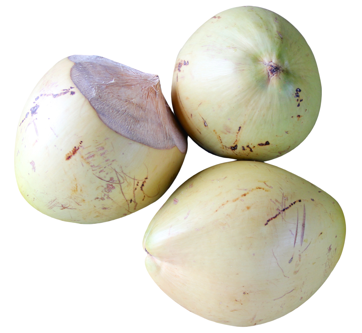 A Group Of Coconuts On A Black Background
