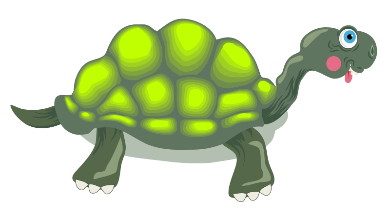 A Green Turtle With A Black Background