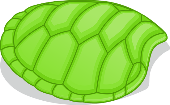 A Green Turtle Shell With Black Background