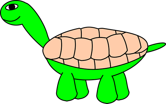 A Cartoon Turtle With A Shell