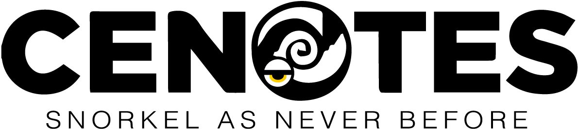 A White And Yellow Spiraled Animal With A Black Background