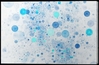 A Blue And White Background With Circles