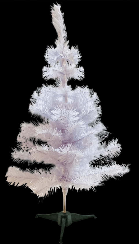 A White Christmas Tree With Black Background